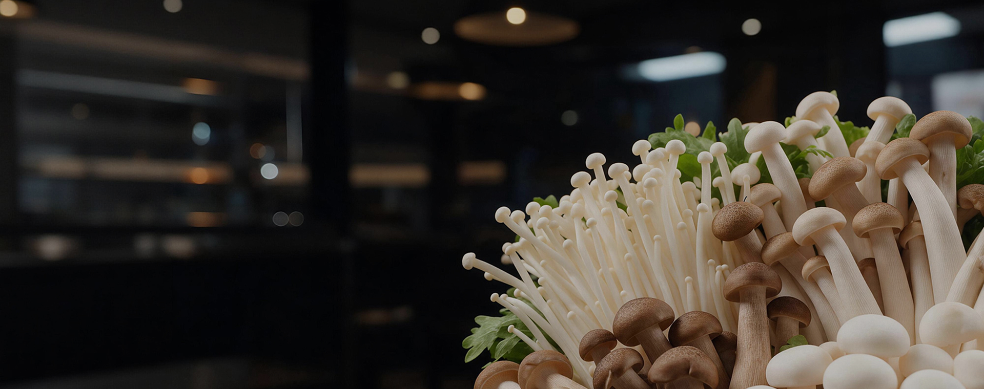 食用菌业务banner