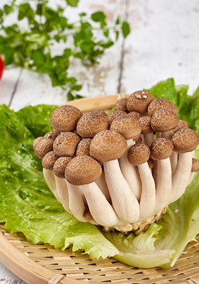 蟹味菇